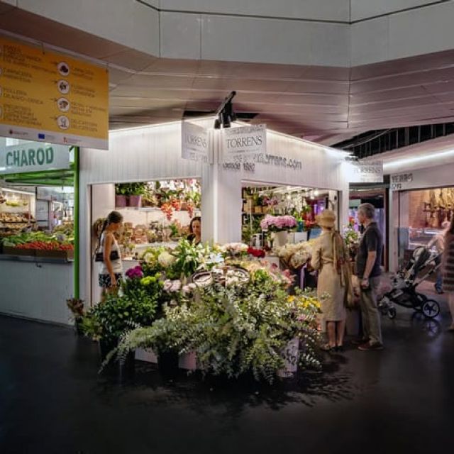 proyectos de iluminacion floristerias
