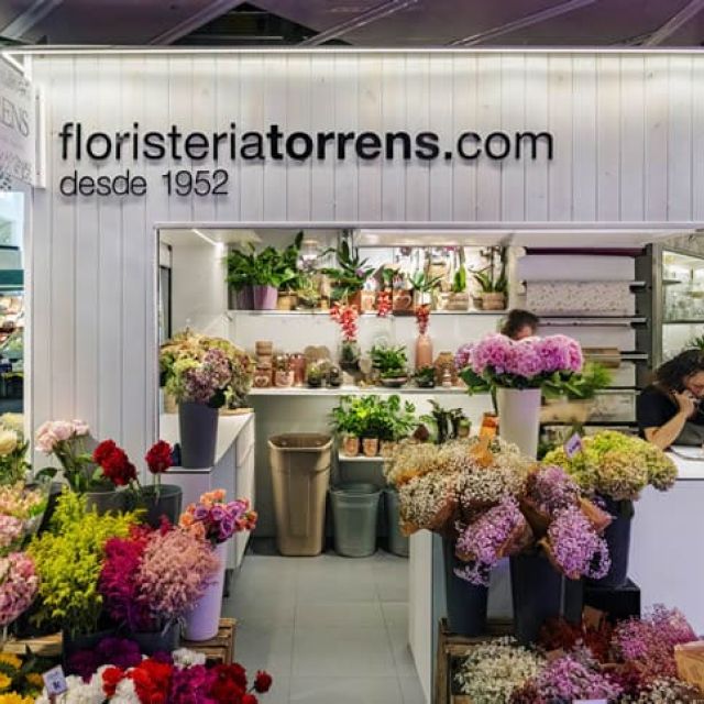 proyecto iluminacion floristeria