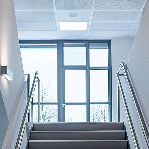 Detector de movimiento abatible para techo. Haz de detección de 360°