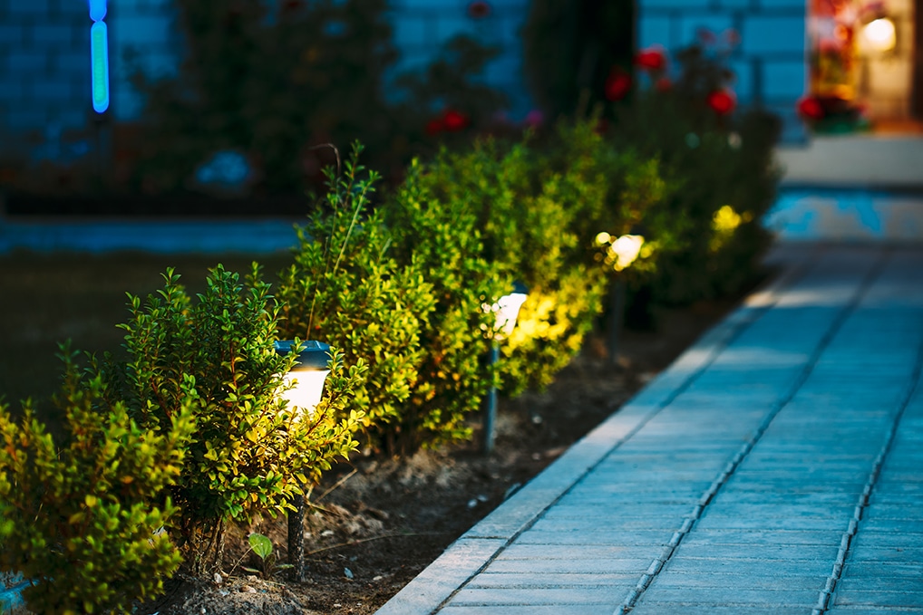 Iluminación jardín