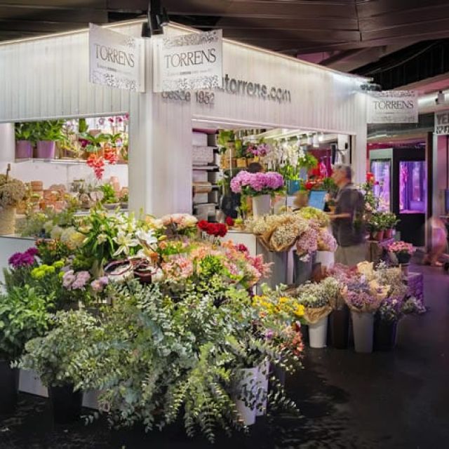 iluminacion floristeria