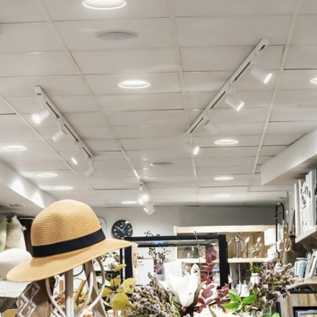 Luminaria en Tienda Pato2