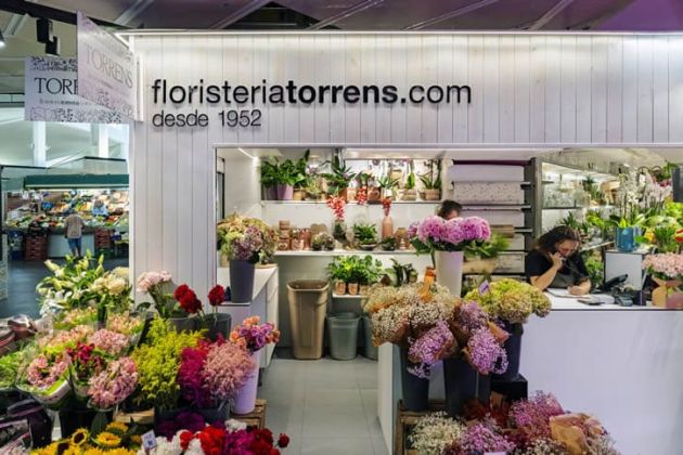 proyecto iluminacion floristeria