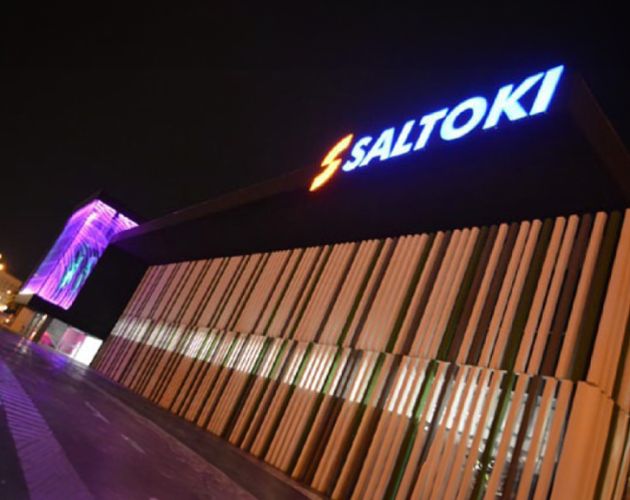 Luminaria SALTOKI Suministros Zaragoza 