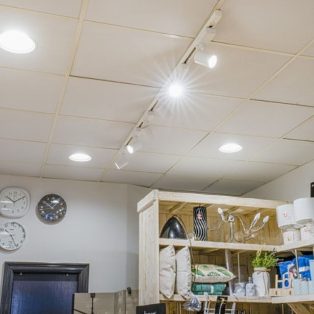 Luminaria para Tienda Pato2
