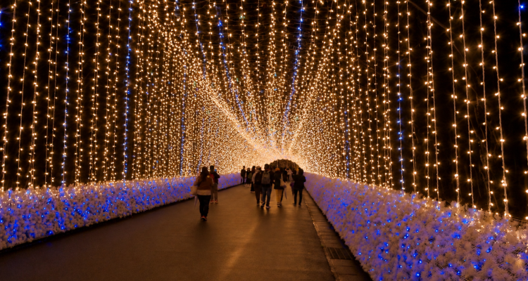 cortina de luces led navidad en una calle